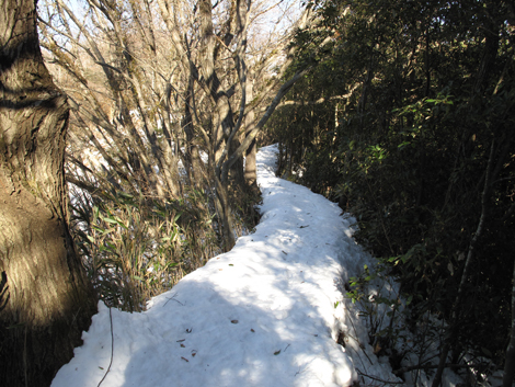 20180126hike (260)